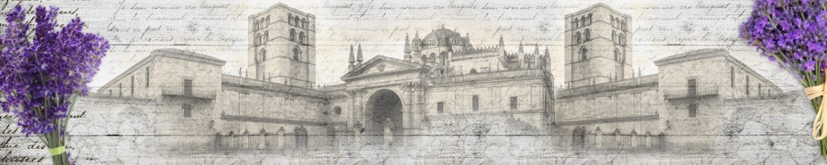 Art. 6585 Arhitektura 1200x240
