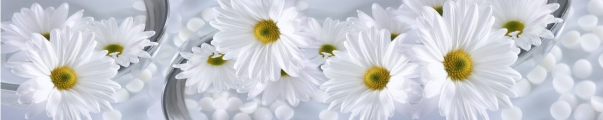 Art. 6841 Avtorskie 1200x240
