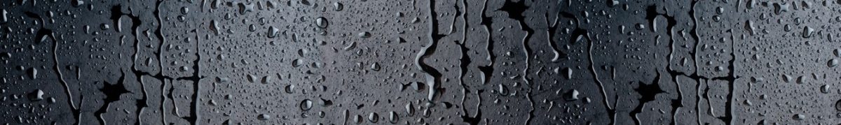 Art. 8692 Kapli 1200x179