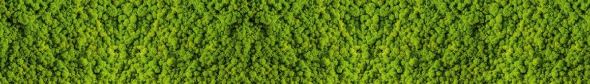 Art. 10032 Risovannye Raznoe 1200x172