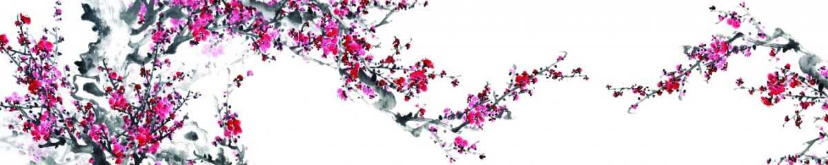 Art. 10544 Czvety 1200x240