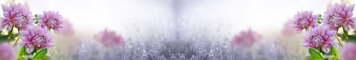 Art. 10587 Czvety 1200x205