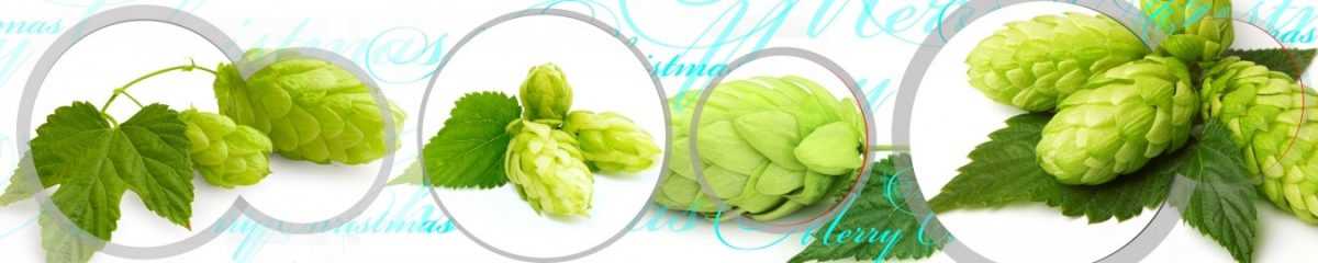 Art. 10683 Risovannye Raznoe 1200x240