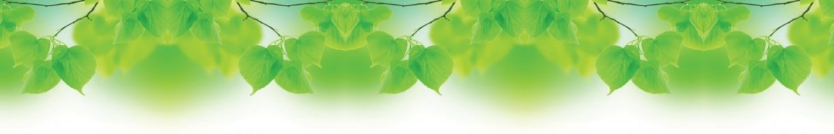 Art. 10768 Risovannye Raznoe 1200x193