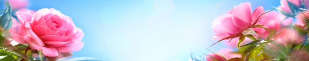 Art. 10792 Czvety 1200x240