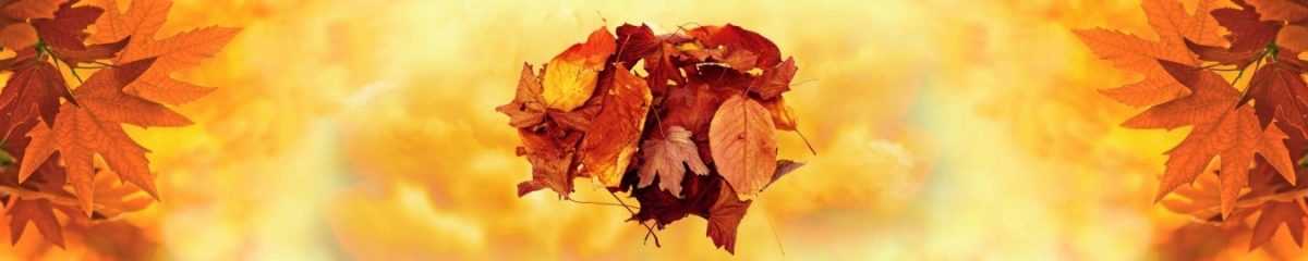 Art. 10845 Risovannye Raznoe 1200x240