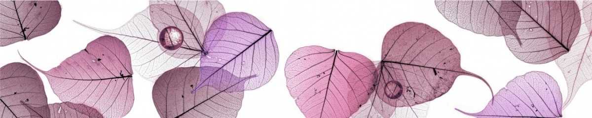 Art. 10904 Risovannye Raznoe 1200x240