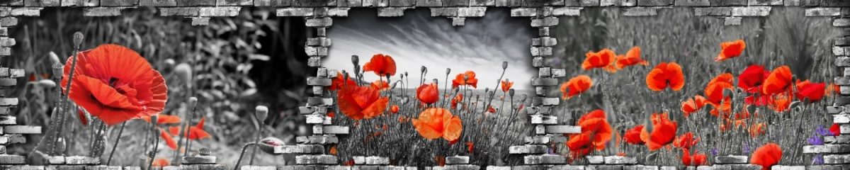 Art. 10934 Czvety 1200x240