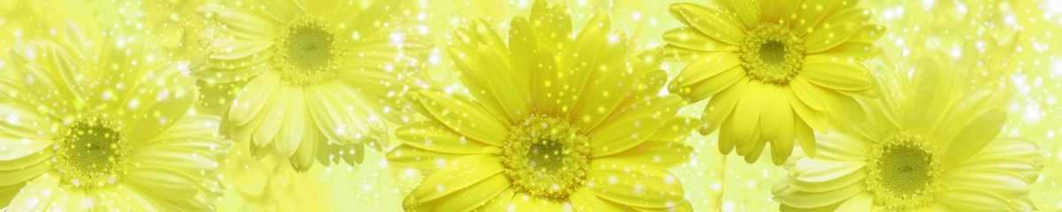 Art. 10940 Czvety 1200x240