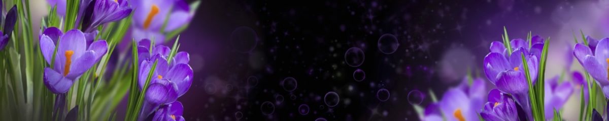 Art. 10943 Czvety 1200x240