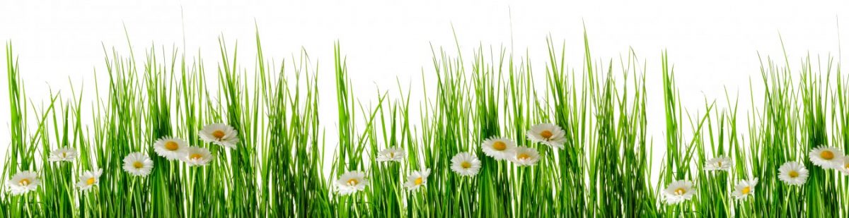 Art. 10977 Czvety 1200x309