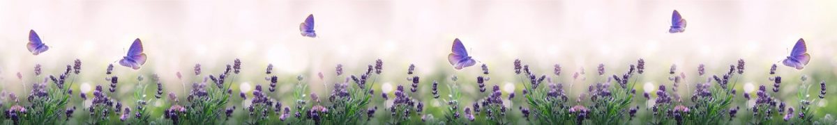 Art. 11092 Czvety 1200x180