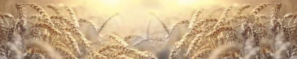 Art. 11097 Risovannye Raznoe 1200x240