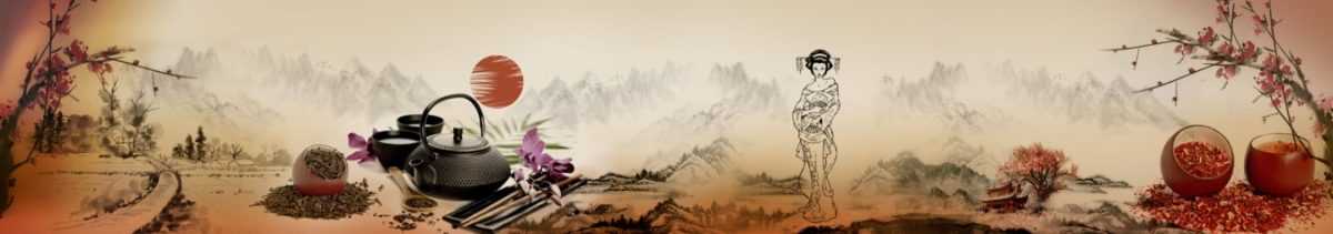 Art. 11284 Vostok 1 1200x211