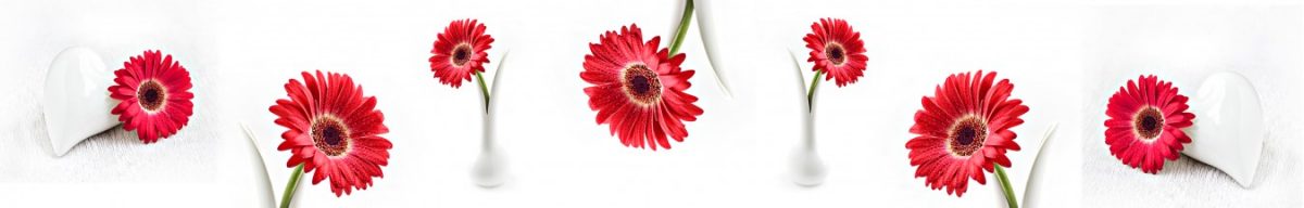 Art. 11295 Czvety 1200x192