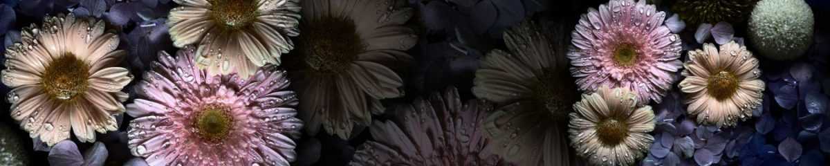 Art. 11318 Czvety 1200x240