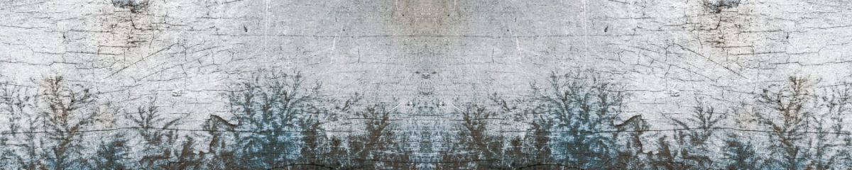 Art. 11453 Tekstury Fony 1200x240