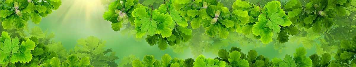 Art. 11789 Risovannye Raznoe 1200x228