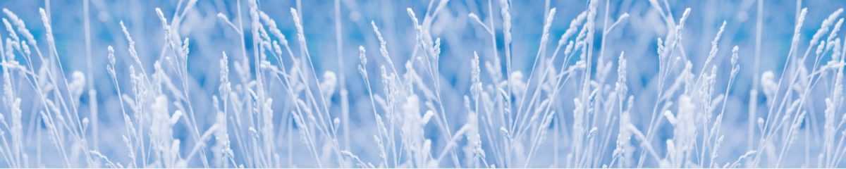 Art. 11818 Risovannye Raznoe 1200x240