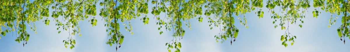 Art. 11864 Risovannye Raznoe 1200x180