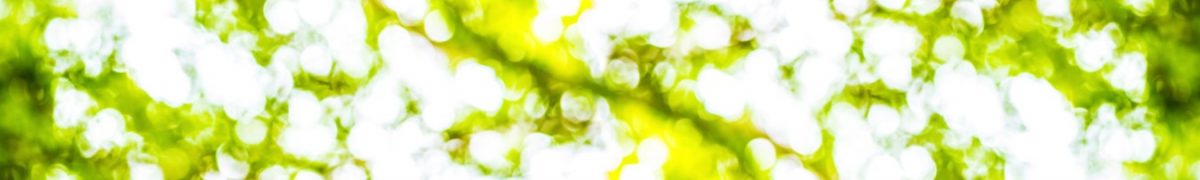 Art. 12153 Tekstury Fony 1200x180