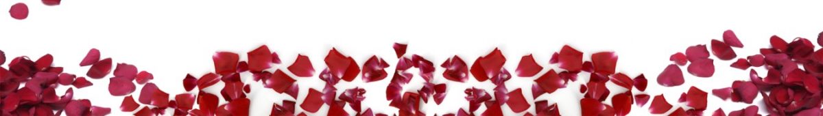 Art. 12173 Risovannye Raznoe 1200x170