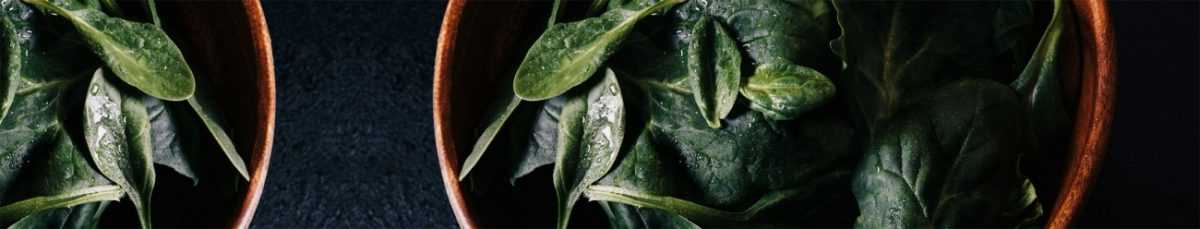 Art. 2636 Risovannye Raznoe 1200x229