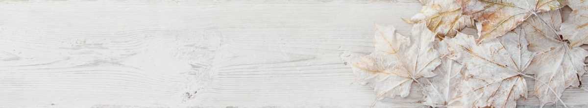 Art. 2687 Risovannye Raznoe 1200x222