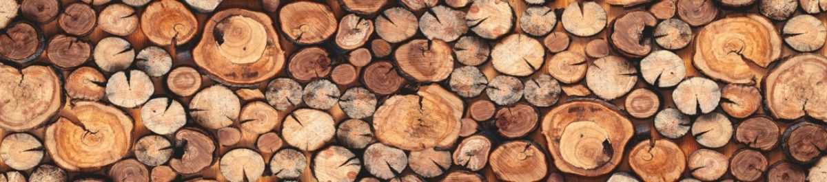 Art. 2703 Tekstury Fony 1200x265