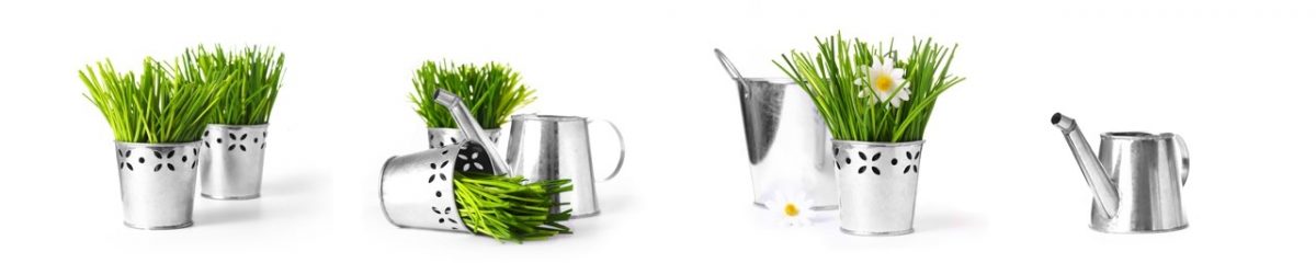 Art. 2902 Risovannye Raznoe 1200x240