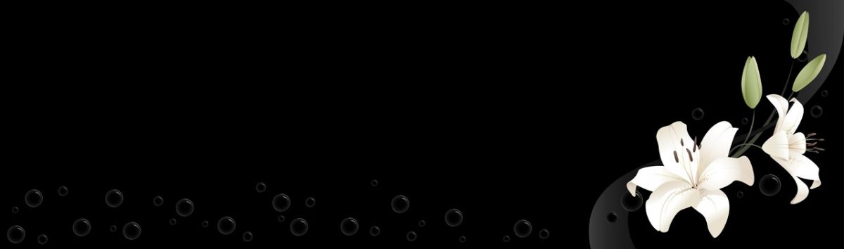 Art. 2935 Czvety 1200x354