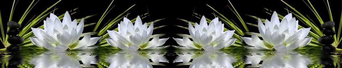 Art. 2975 Czvety 1200x240