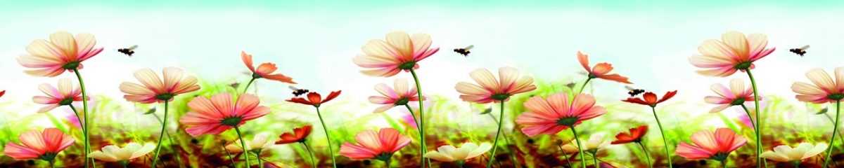 Art. 2993 Czvety 1200x240