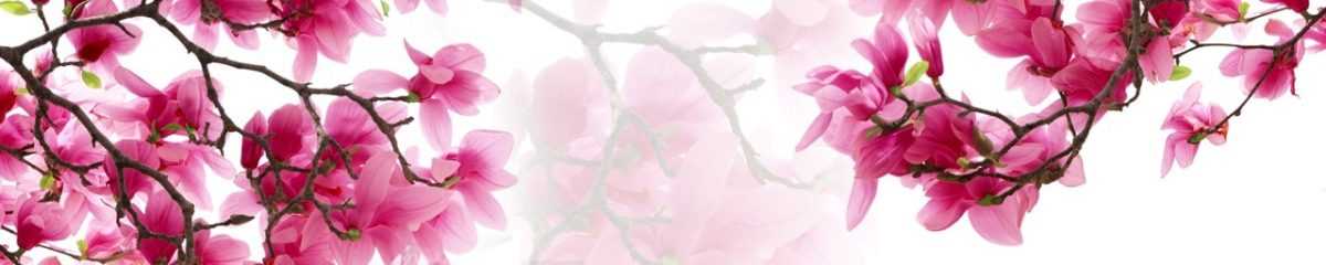 Art. 3016 Czvety 1200x240
