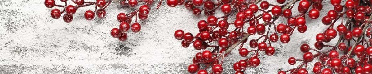 Art. 3019 Risovannye Raznoe 1200x240