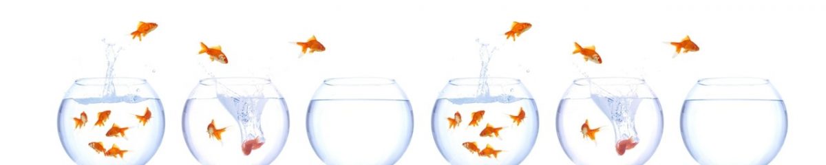 Art. 3022 Risovannye Raznoe 1200x240