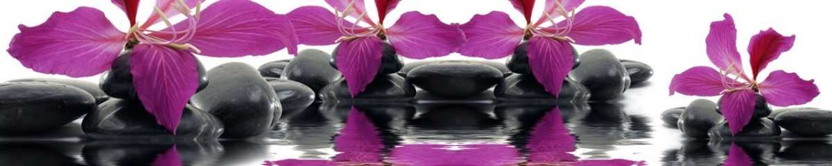 Art. 3028 Czvety 1200x240