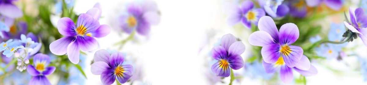 Art. 3050 Czvety 1200x280