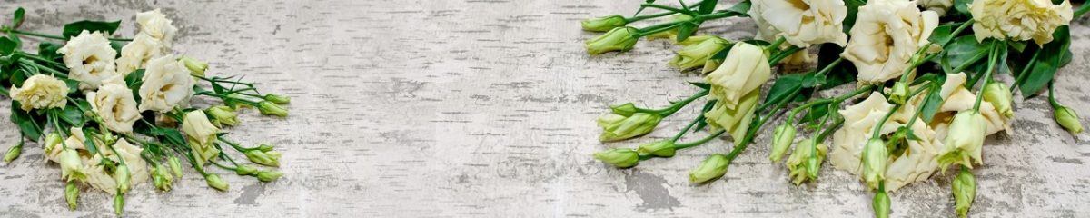 Art. 3135 Czvety 1200x240