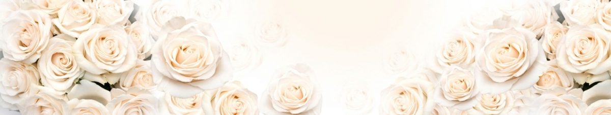 Art. 3182 Czvety 1200x227