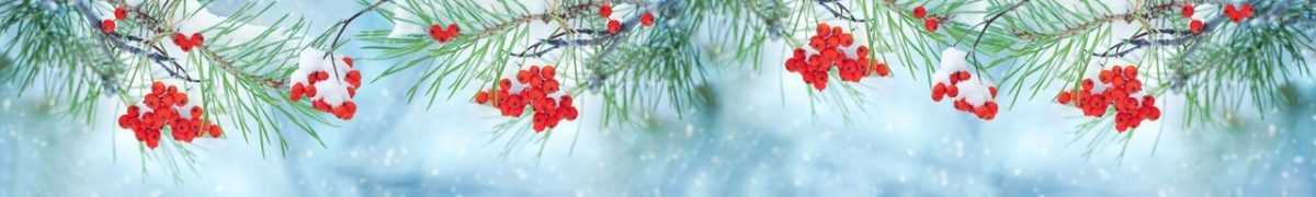 Art. 3322 Risovannye Raznoe 1200x180