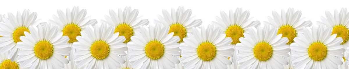Art. 3376 Czvety 1200x239