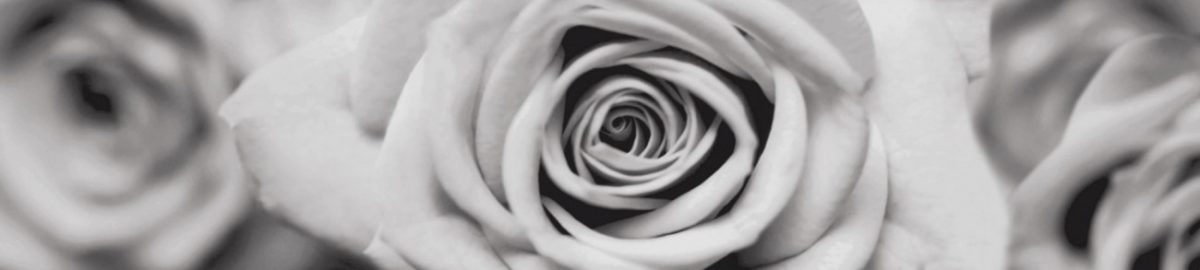 Art. 3547 Czvety 1200x270