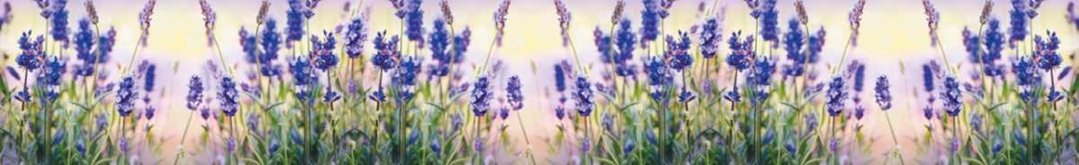 Art. 3678 Czvety 1200x184