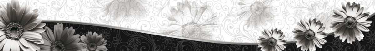 Art. 3721 Czvety 1200x164