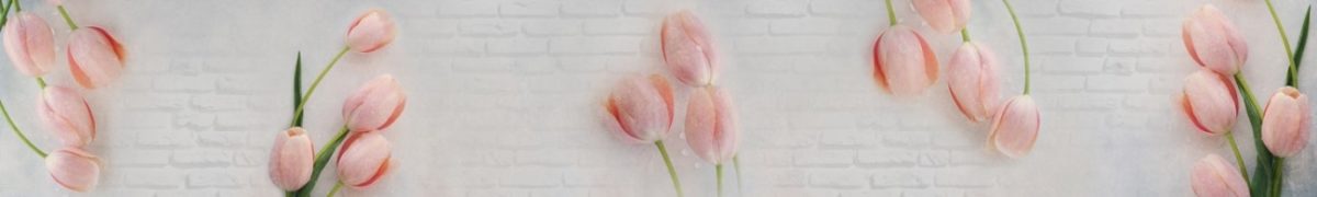 Art. 3926 Czvety 1200x180