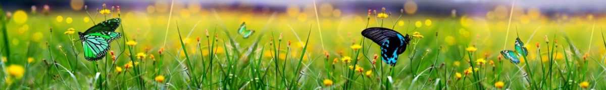 Art. 3991 Risovannye Raznoe 1200x180