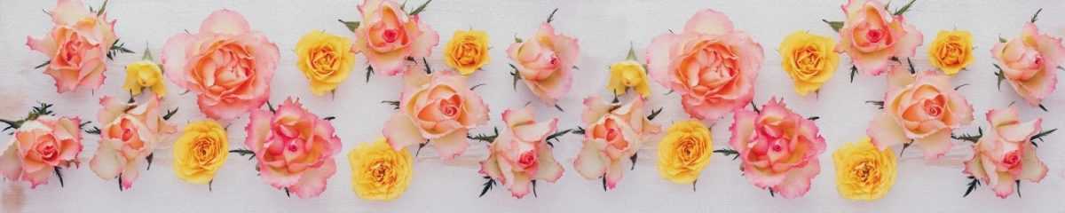 Art. 4113 Czvety 1200x240
