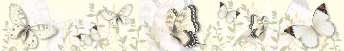 Art. 4339 Risovannye Raznoe 1200x180