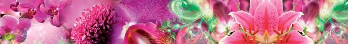 Art. 4495 Czvety 1200x153